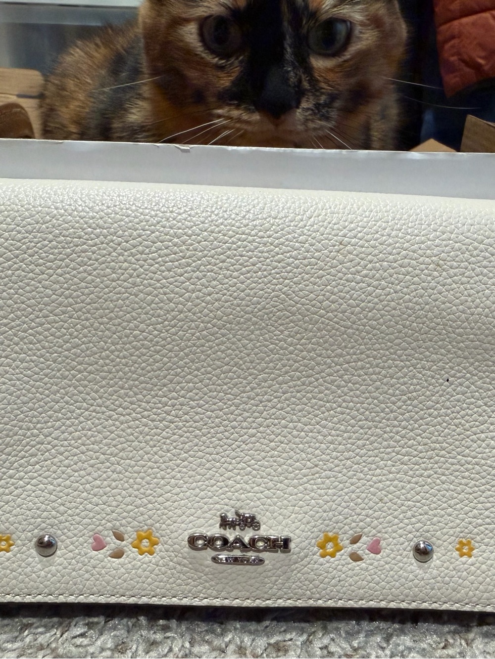 Coach Cream Pebbled Leather Mini Shoulder Bag with Pastel Floral Studs